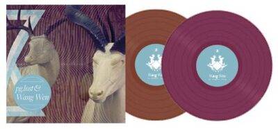 PG.LOST / WANG WEN - "Split" LP - Image 2