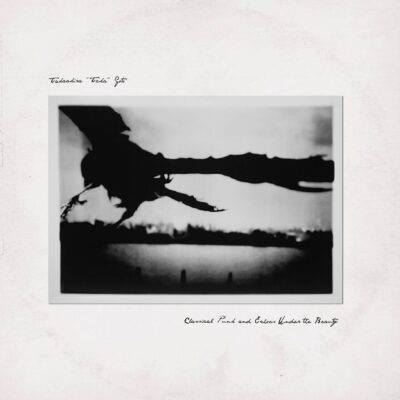 TAKAAKIRA 'TAKA' GOTO - "Classical Punk and Echoes Under the Beauty" (download)