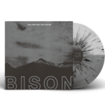 BISON - "You Are Not The Ocean You Are The Patient" LP - Image 3