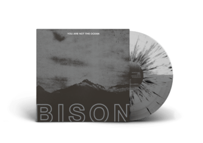 BISON - "You Are Not The Ocean You Are The Patient" LP - Image 3