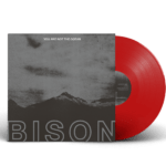 BISON - "You Are Not The Ocean You Are The Patient" LP - Image 5
