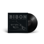 BISON - "One Thousand Needles" LP - Image 2