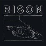 BISON - "One Thousand Needles" LP