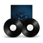 A SWARM OF THE SUN - "The Rifts" 2LP - Image 5