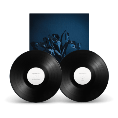 A SWARM OF THE SUN - "The Rifts" 2LP - Image 5