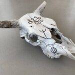 ÅRABROT - "The Årabrot Skull" - Auction