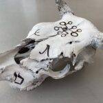 ÅRABROT - "The Årabrot Skull" - Auction - Image 5
