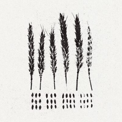 LO! - "The Gleaners" CD